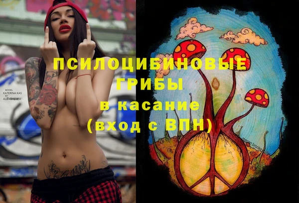 гидра Каменка