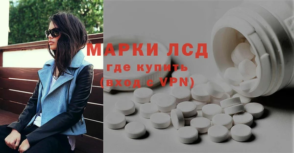 гидра Каменка