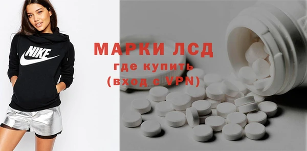 гидра Каменка