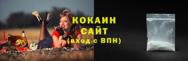 гидра Каменка