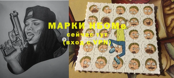гидра Каменка