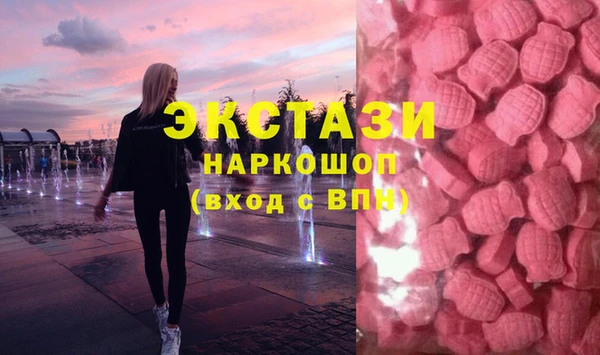 гидра Каменка