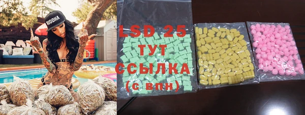 индика Михайлов