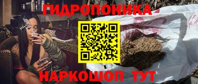 PSILOCYBIN Кингисепп