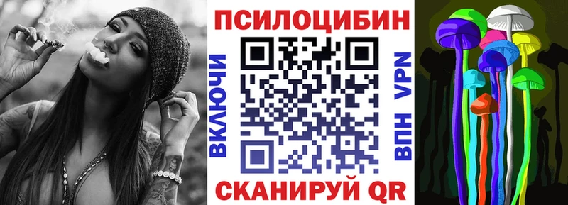 где найти   Арзамас  нарко площадка какой сайт  Псилоцибиновые грибы Psilocybe 