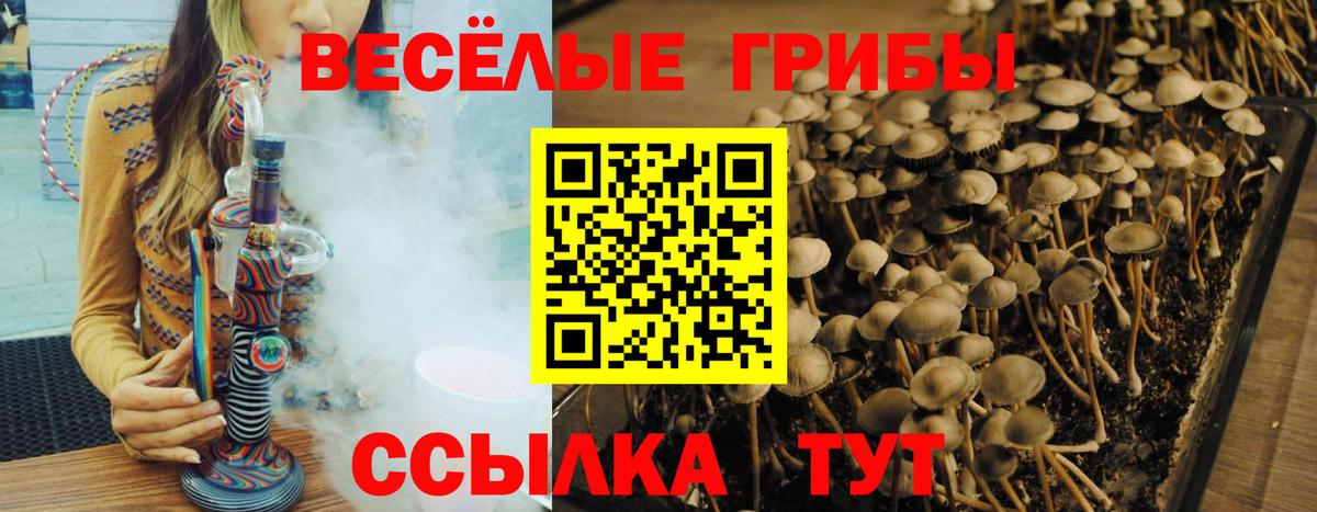 Псилоцибиновые грибы мухоморы  Вход с VPN  Арзамас 