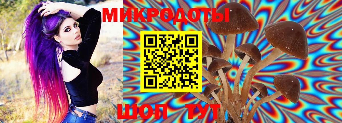 Галлюциногенные грибы Psilocybine cubensis Арзамас